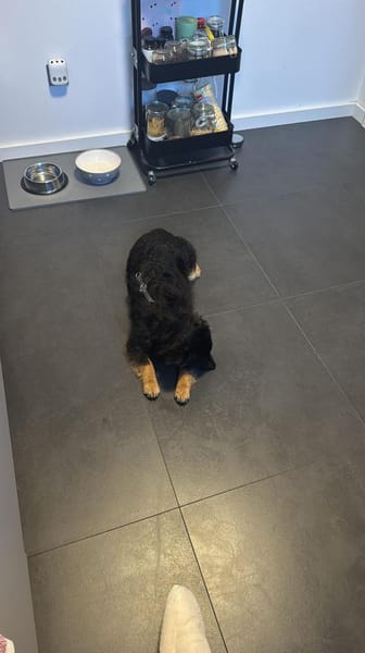 Jefferson wartet auf PS in HH!