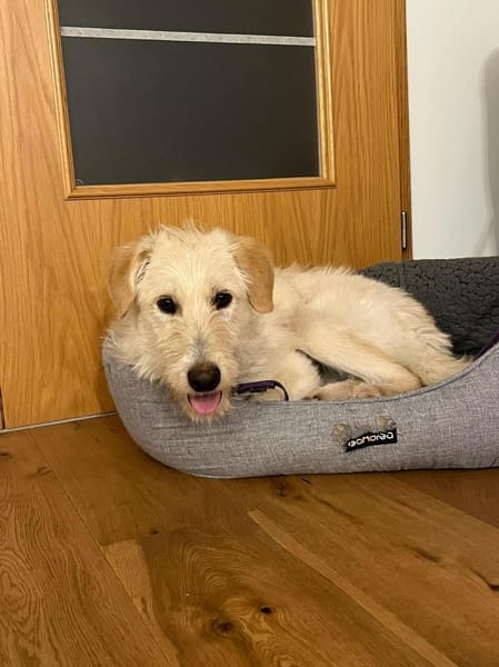 Megan wartet auf PS in Hannover!