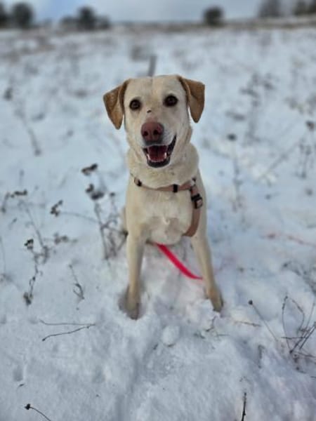 Mia sucht ein liebevolles Zuhause