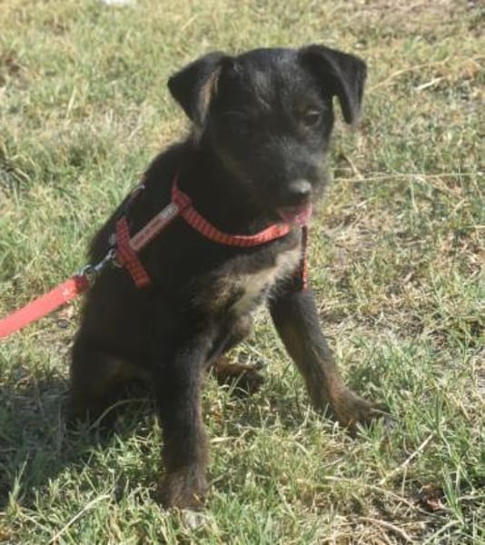 Sid - auf ICE AGE Spuren