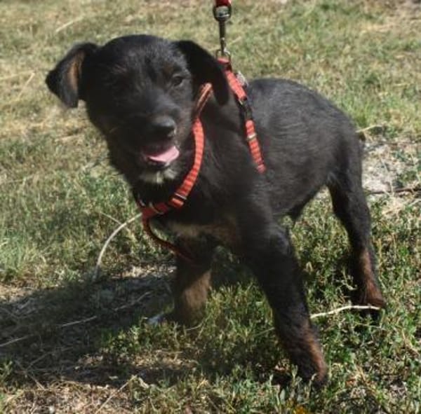 Sid - auf ICE AGE Spuren