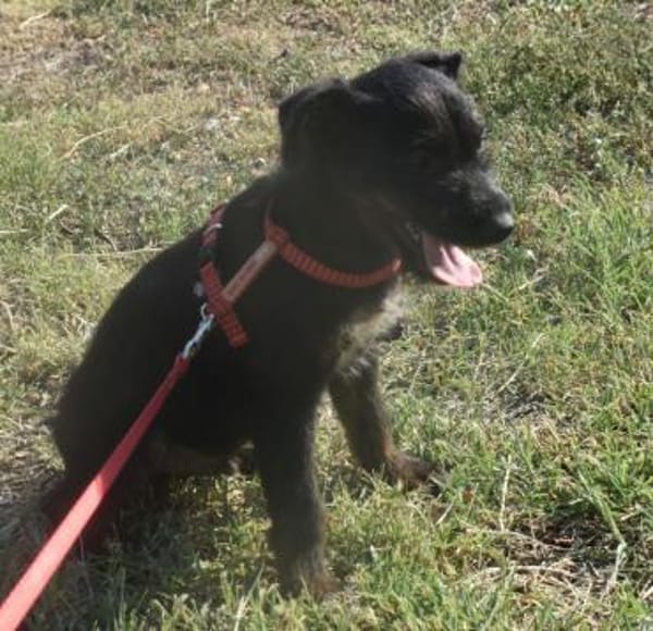 Sid - auf ICE AGE Spuren