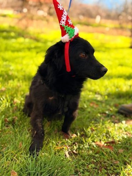 LUNA ❤ Black is beautiful 😍