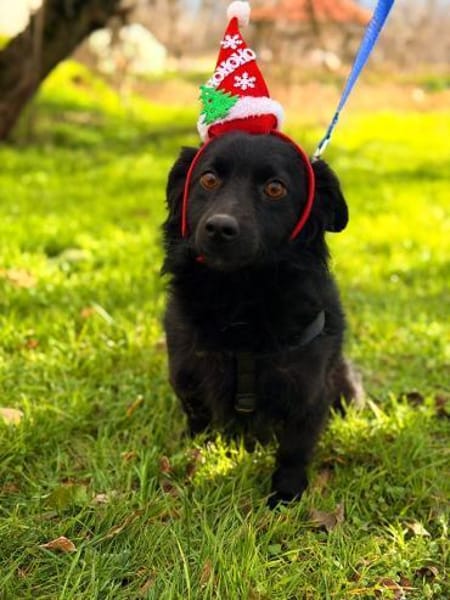 LUNA ❤ Black is beautiful 😍