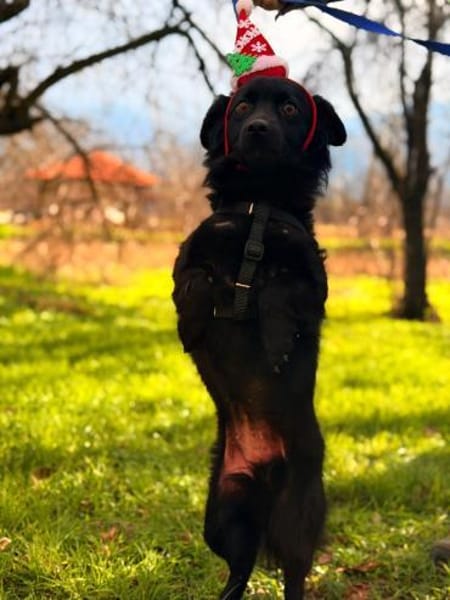 LUNA ❤ Black is beautiful 😍