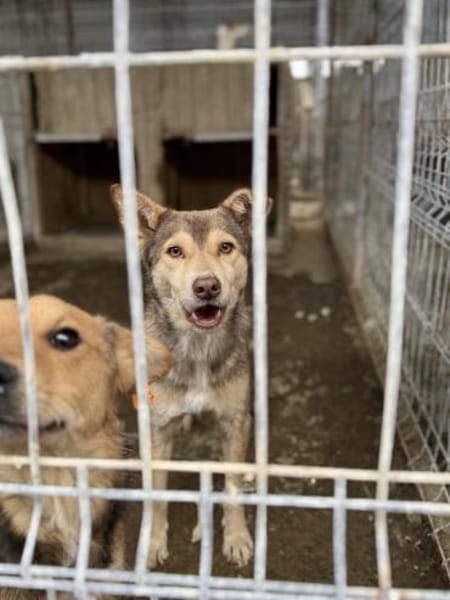 Rani wartet auf einen Neustart