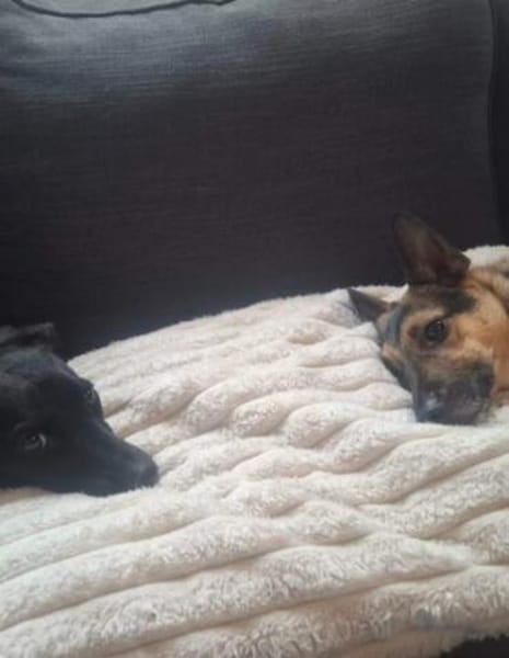 Sensible Leesha sucht ihre Menschen