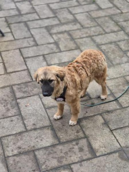 Timmysucht sein großes Glück