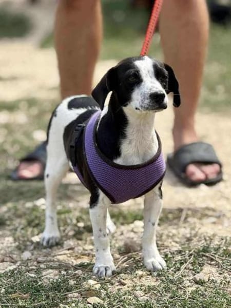 SMiLLA❤wartet in Zschepplin auf dich
