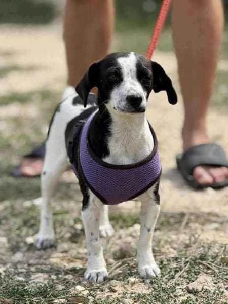 SMiLLA❤wartet in Zschepplin auf dich