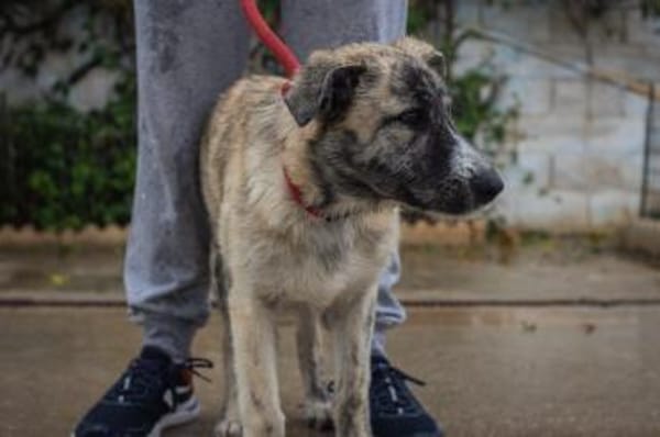 Luni möchte endlich eine Familie haben