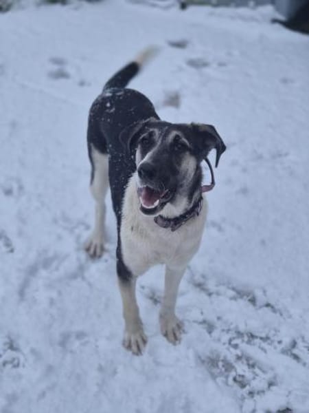 💕Sanya wartet auf ihre eigene Familie💕