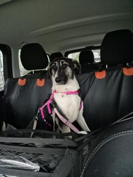 💕Sanya wartet auf ihre eigene Familie💕