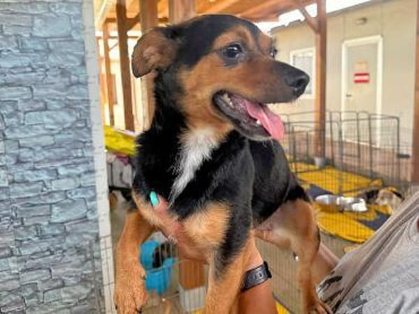 TIERRA - ab Februar auf PS in Duisburg