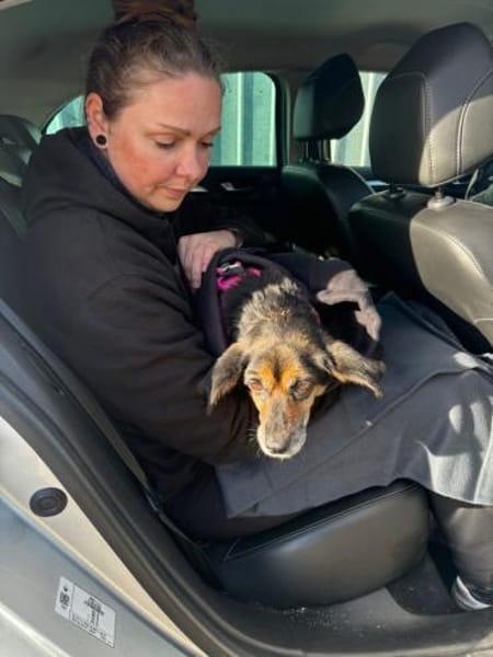 Hundeomi Lie sucht warmes Zuhause