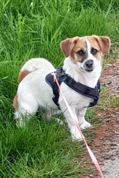 Tolle kleine Mona wartet auf Sie!