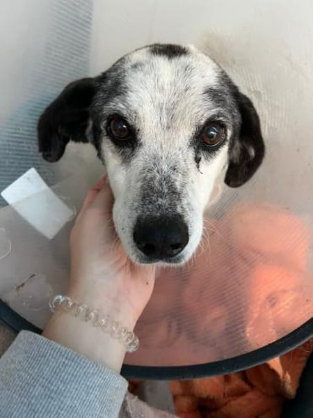 Ein Fall für Kommisar Frank T.