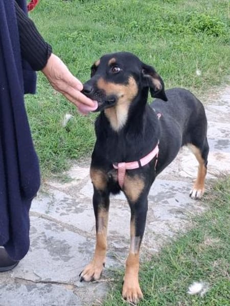 ❤Handicap - Ein Wunder für Elenia...🙏