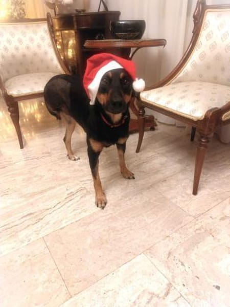 ❤Handicap - Ein Wunder für Elenia...🙏