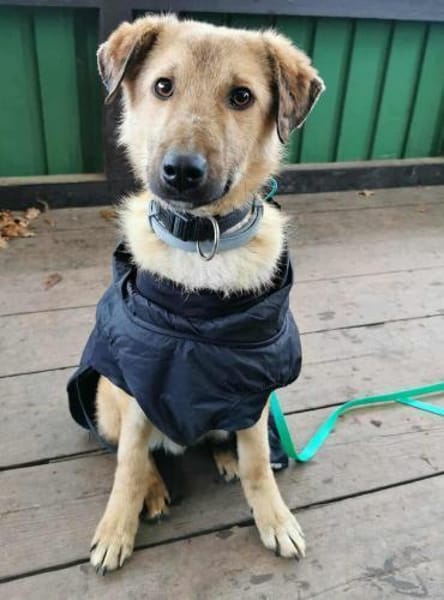 BRUNO * familienfreundlicher Bub