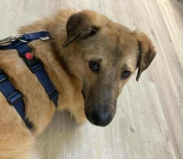 BRUNO * familienfreundlicher Bub