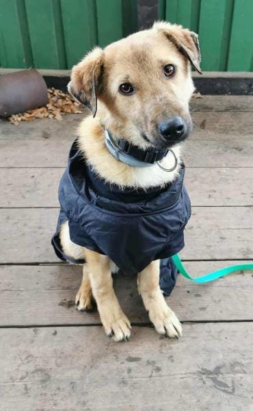 BRUNO * familienfreundlicher Bub