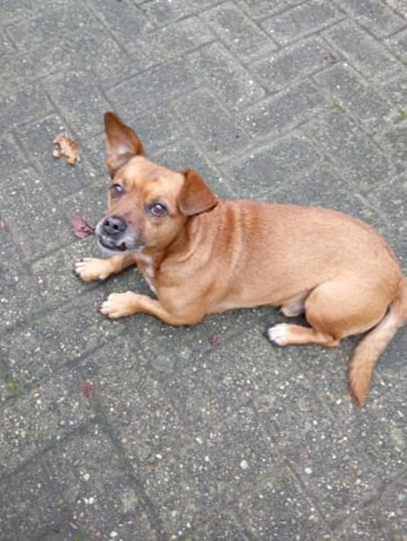 0815 war gestern, heute kommt Bobby ;)