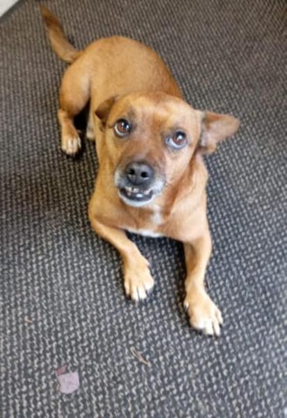 0815 war gestern, heute kommt Bobby ;)