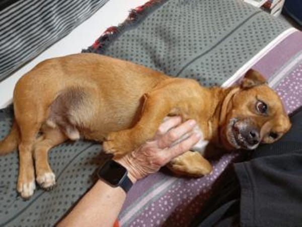 0815 war gestern, heute kommt Bobby ;)