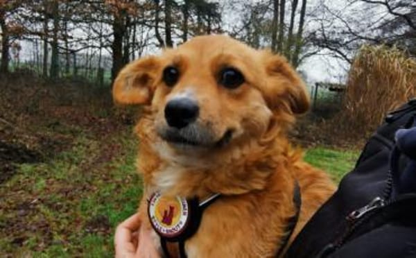 Chrissi sucht ihre Traumfamilie