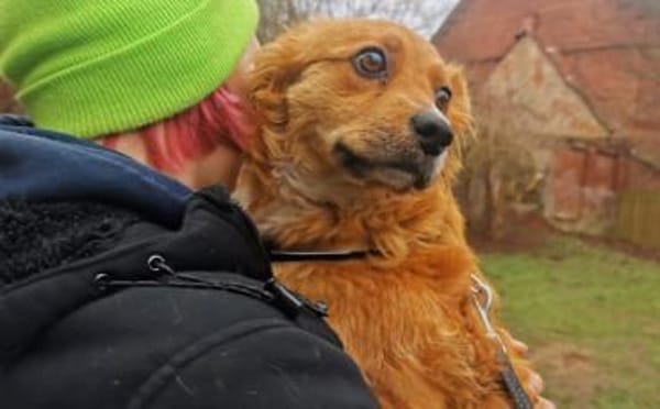 Chrissi sucht ihre Traumfamilie