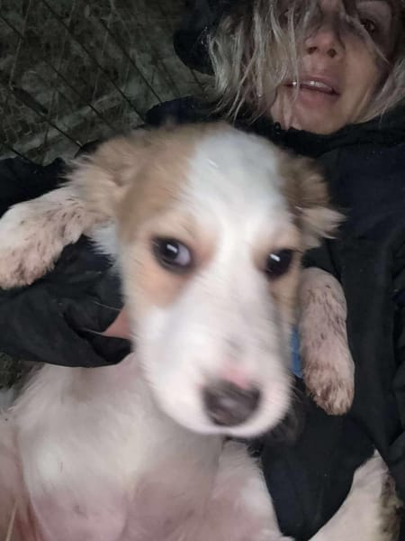 ❤🐾 KALEA, ca. 4 Mon., sehr anhänglich