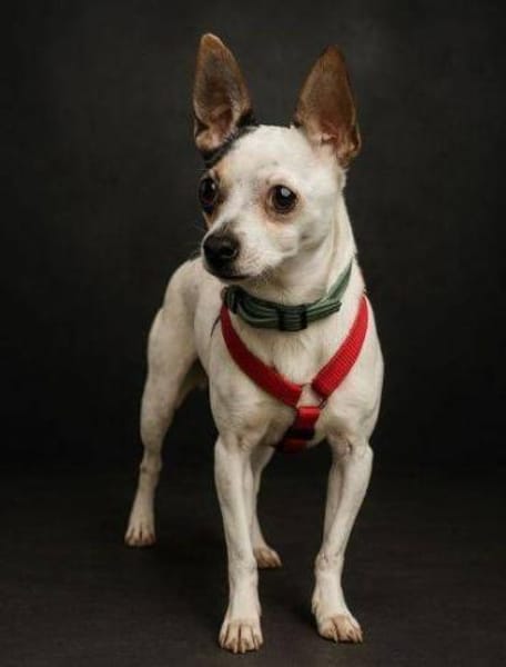 BERRY möchte sein Leben beginnen