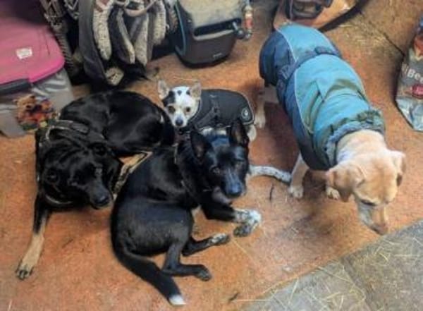 BERRY möchte sein Leben beginnen