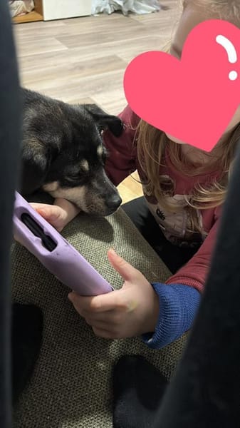 Finja sucht liebevolles zu Hause