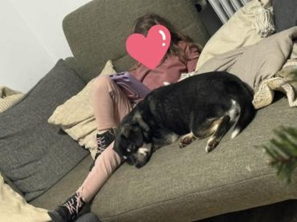 Finja sucht liebevolles zu Hause