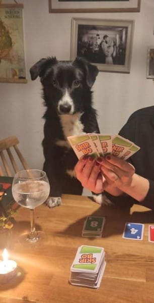 ANNI * unkompliziertes Hundekind