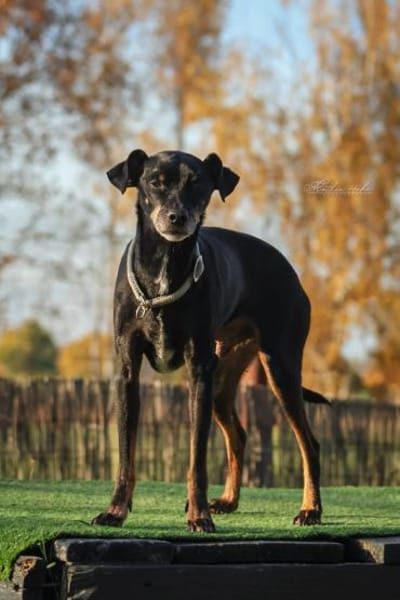 Bodi - topfit und kinderlieb
