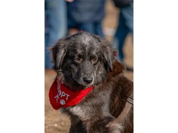 Mayli  wartet in 91611 Lehrberg