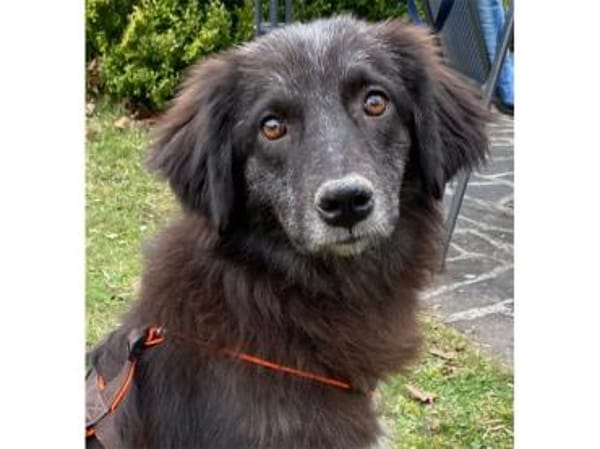 Mayli  wartet in 91611 Lehrberg