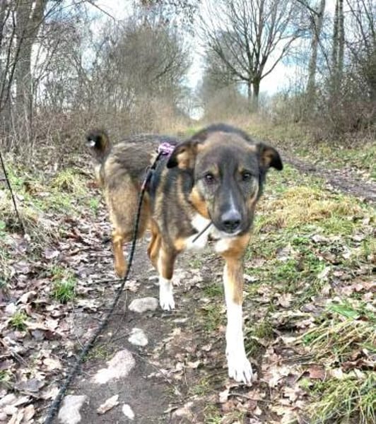 Lieber,sportlicher Mischa