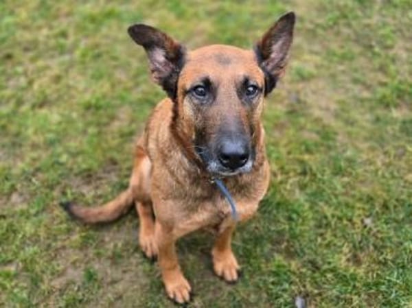 BELLA 3 sucht Familienanschluss