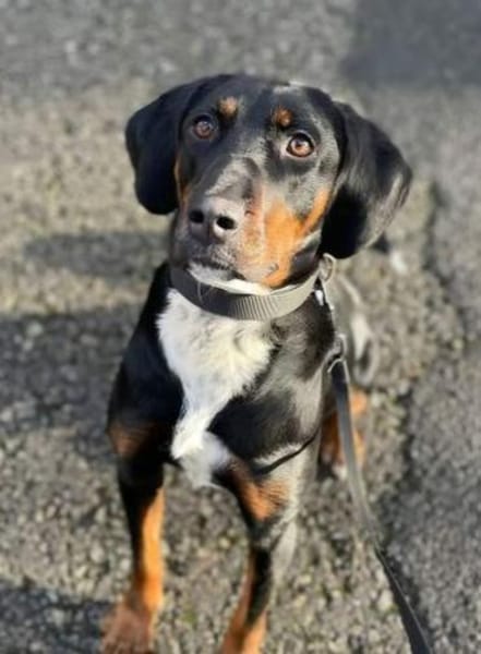 Jolene sucht erfahrene Menschen