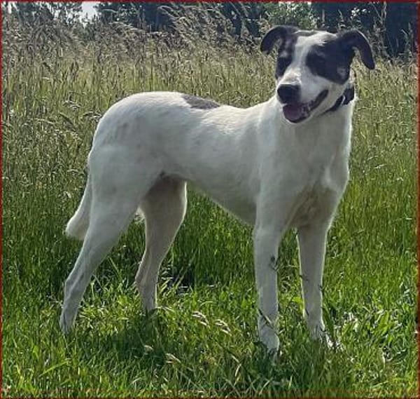 Paulines tolle Veränderung