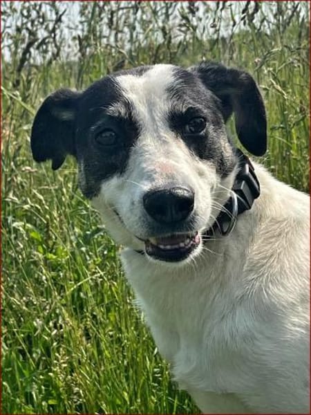 Paulines tolle Veränderung