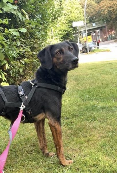 Rea sucht ihre Menschen