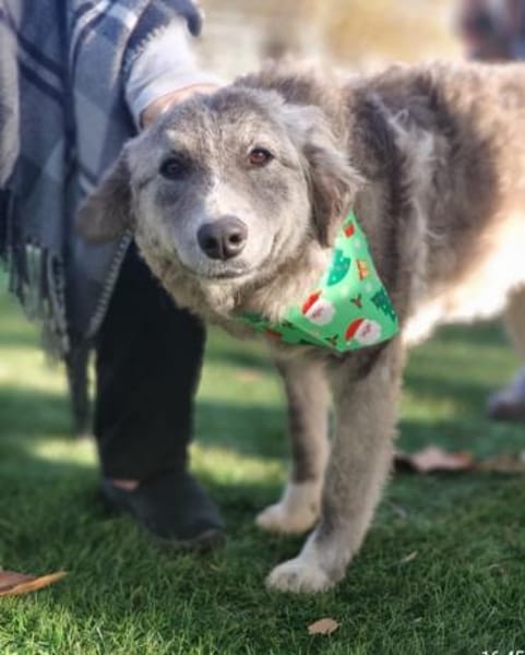 Ruby 💚💚💚 möchte gefallen