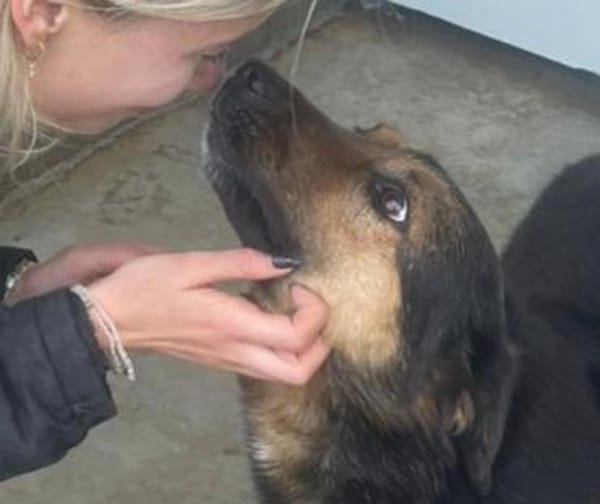 Raya, wartet schon ihr ganzes Leben (8J)