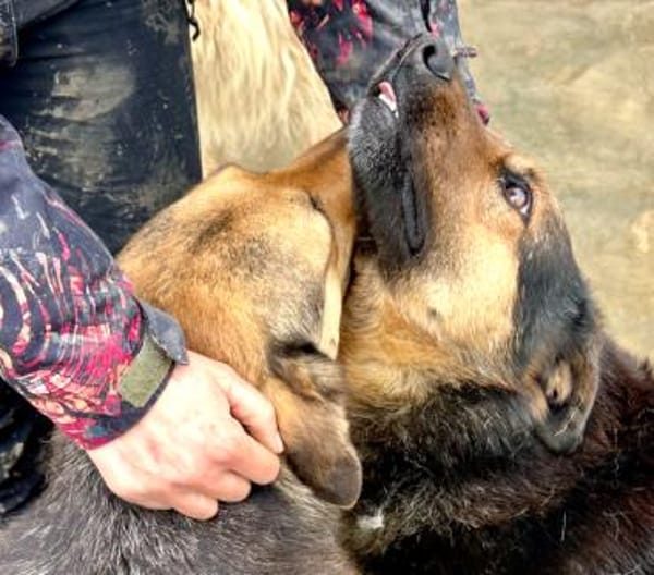 Raya, wartet schon ihr ganzes Leben (8J)