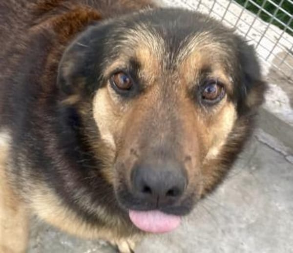 Raya, wartet schon ihr ganzes Leben (8J)